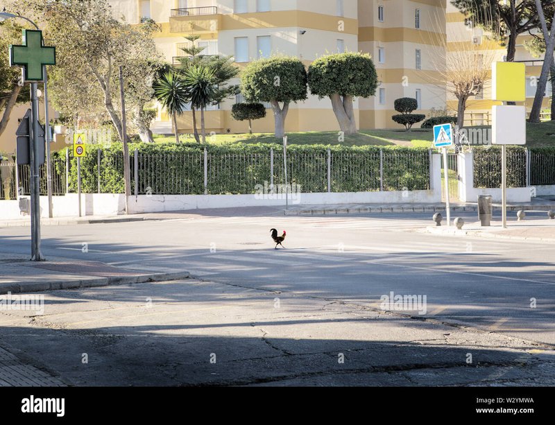 Image: Descubre el emocionante juego de mesa de Chicken Road en España